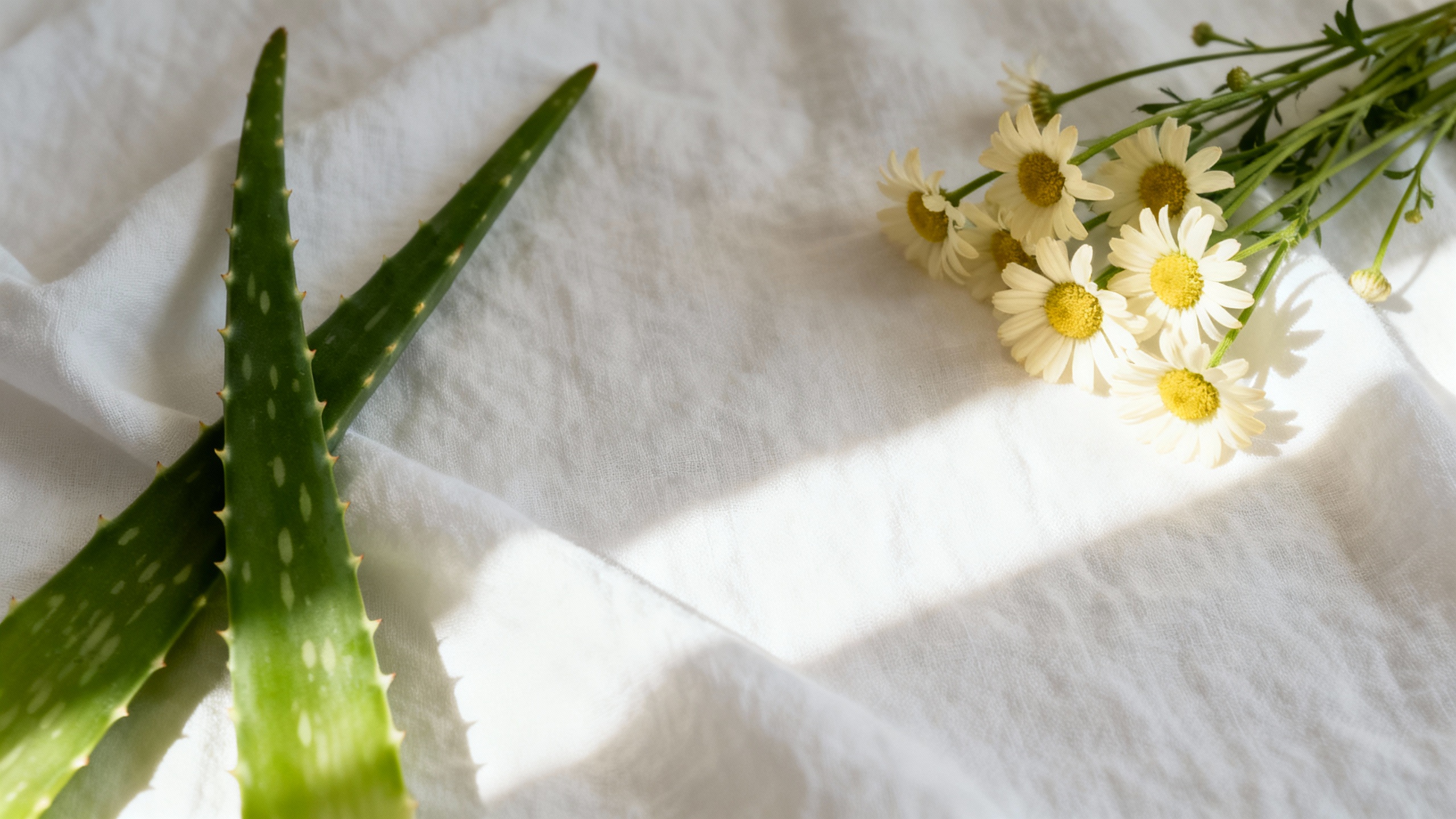 Featured image for Finding Peace: Strategies for Easing Ringworm Pain and Discomfort